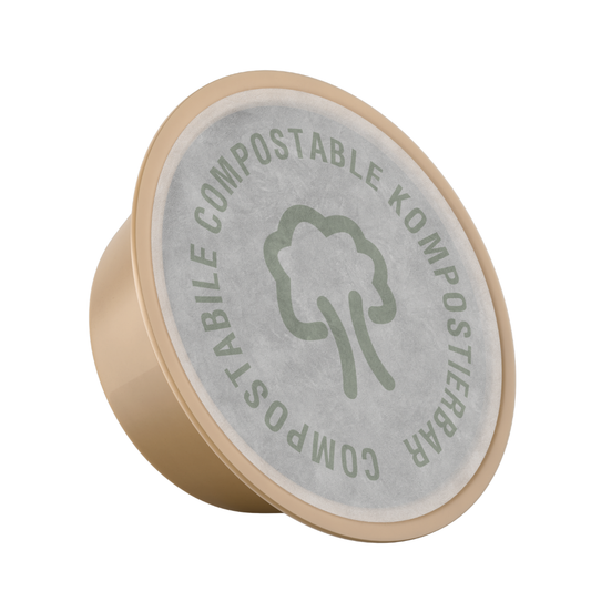 100 Capsule Caffè Compostabili Borbone Don Carlo Compatibili con Macchine Lavazza A Modo Mio