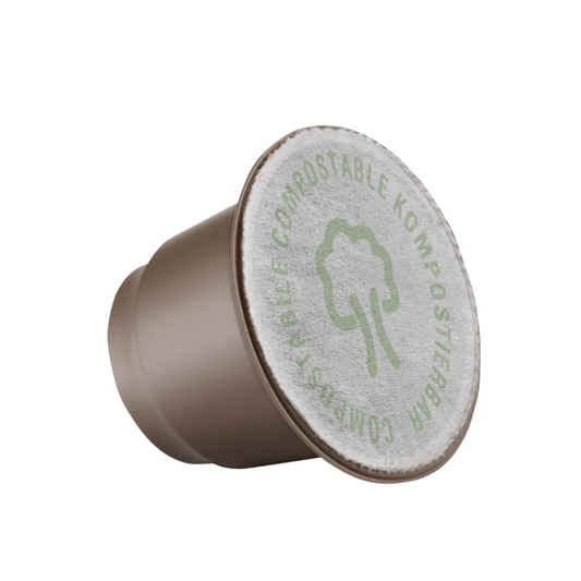 50 Capsule Caffè Compostabili Borbone Respresso Compatibili con Macchine Nespresso