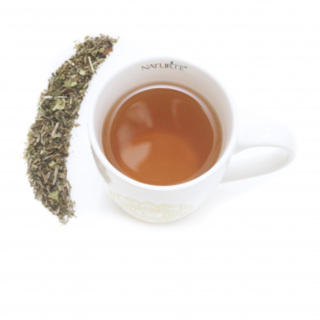 6 Tisane a foglie NaturTè con filtro in seta piramidale